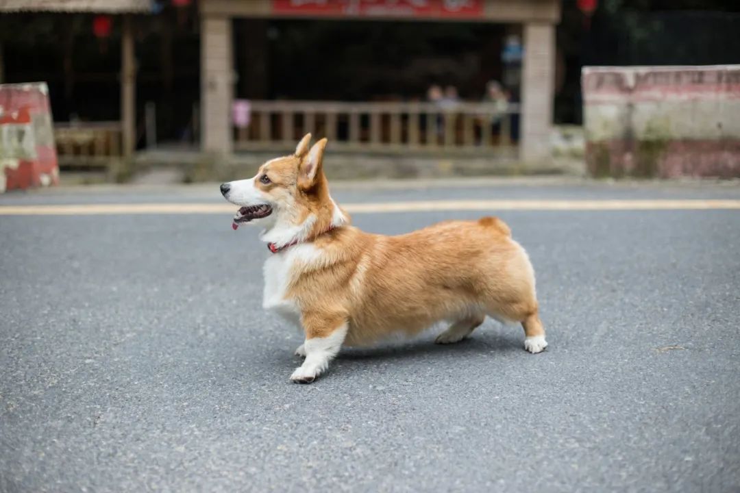 再见，，我的老朋侪