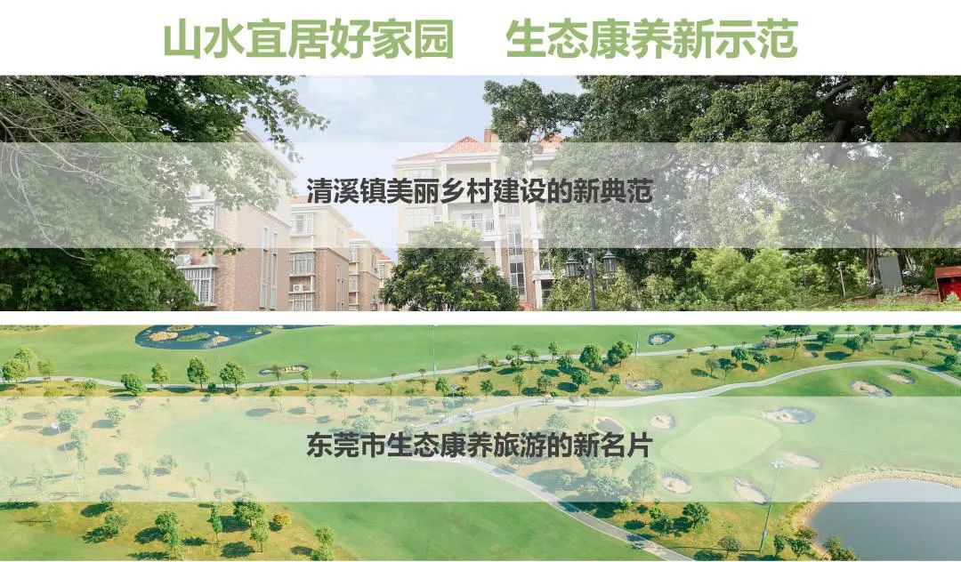 尊龙官方网站集团助力清溪镇打造漂亮墟落建设树模村