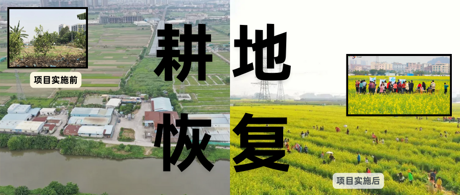 耕地；；び刖蒙す踩凇甘泻窠终蛩谏缜读继锵钅扛鼗指从氤窍缛诤系牧⒁焓导
