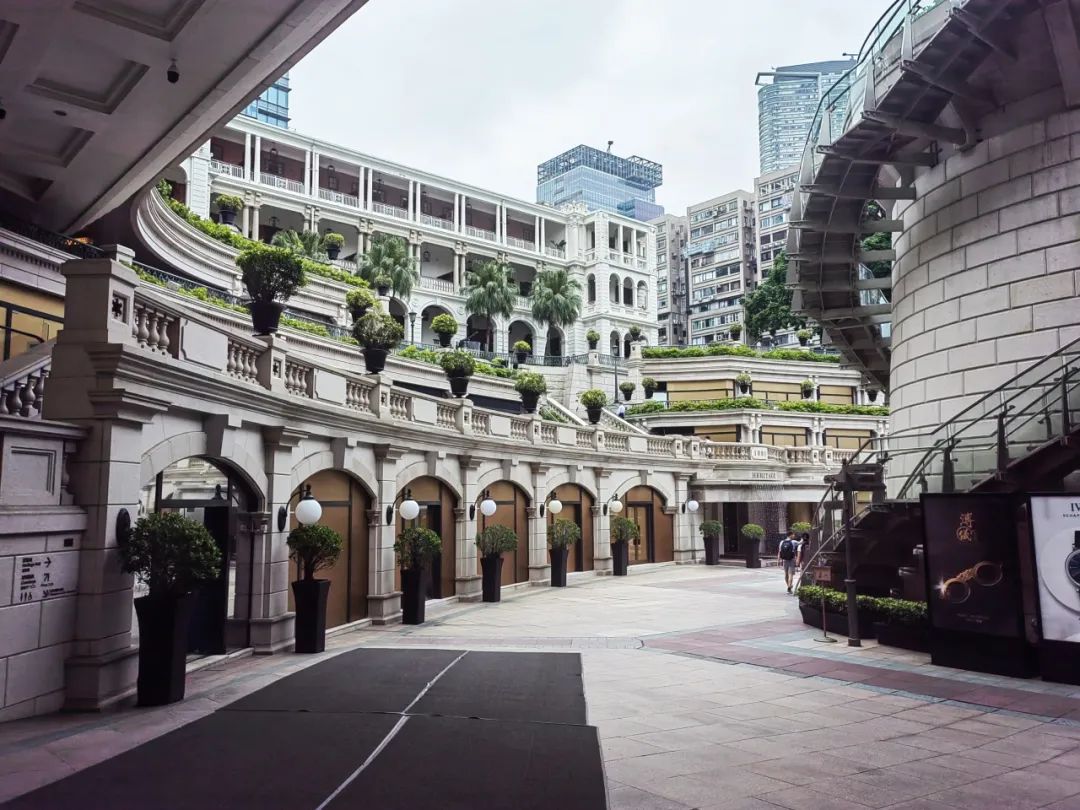 员工随笔丨尊龙官方网站妄想人香港游学记-尊龙官方网站控股集团